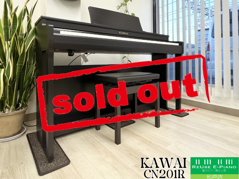 CN201SOLD.jpg