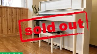 シノシノ まとめ売り 670 シノシノ まとめ売り 670 シノシノ まとめ売り 670 シノシノ